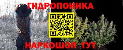 соль ск Гусев