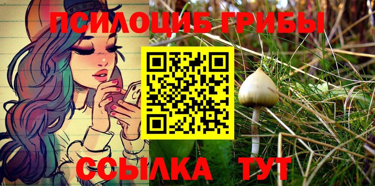 где купить наркоту  Вход с VPN  Галлюциногенные грибы Psilocybe  Новодвинск  Галлюциногенные грибы Psilocybine cubensis 